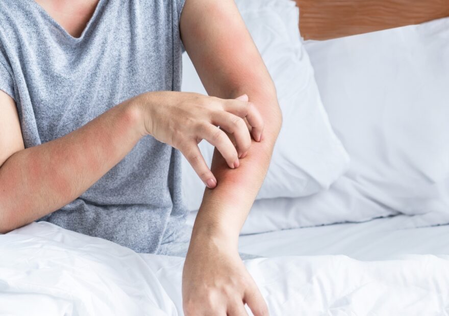 Allergen & Dust Mite Removal