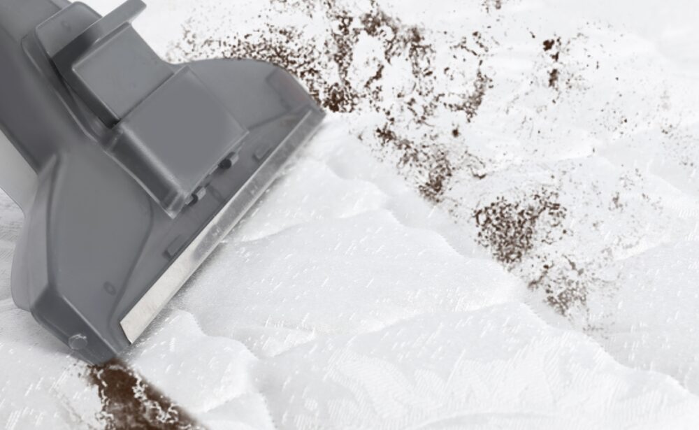 Bacteria & Germ Elimination