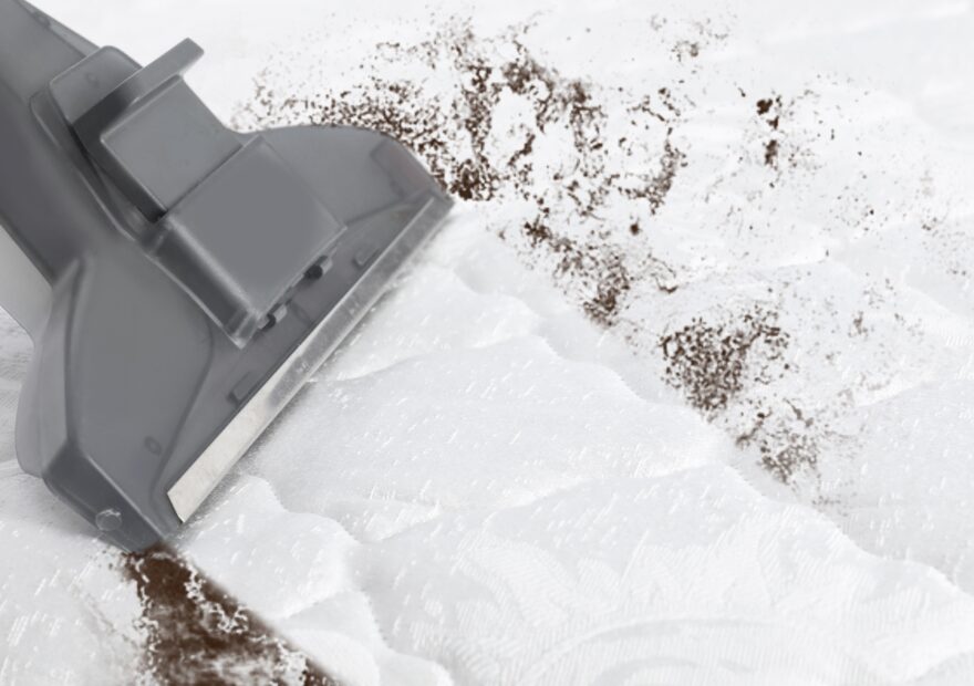 Bacteria & Germ Elimination