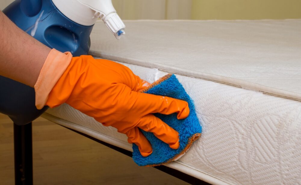 Odor & Stain Removal
