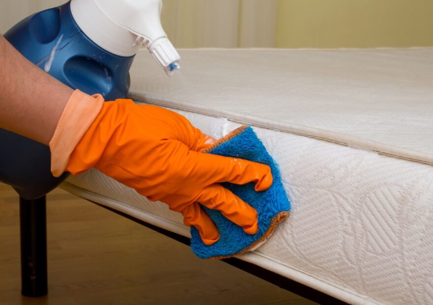 Odor & Stain Removal
